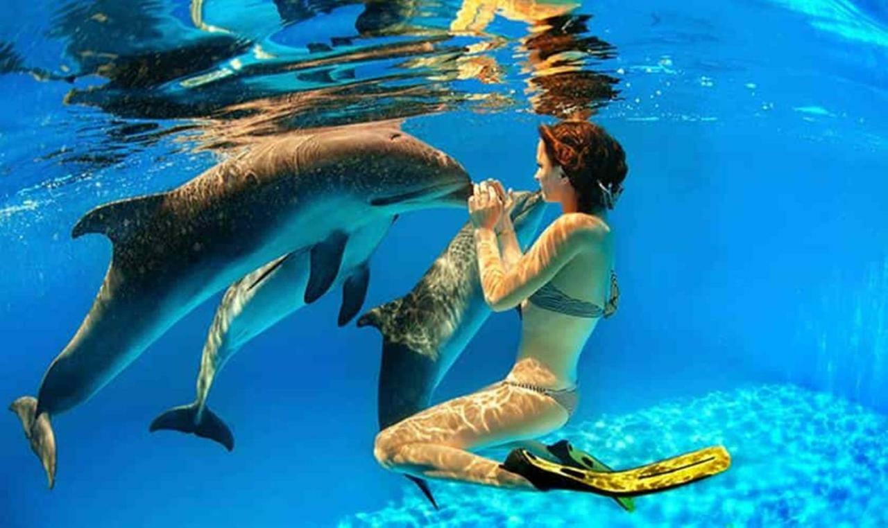 Апартаменти Sugar Reef West Coast Flic en Flac Екстер'єр фото